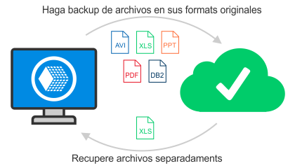 Backup y Restauración con Formatos Nativos